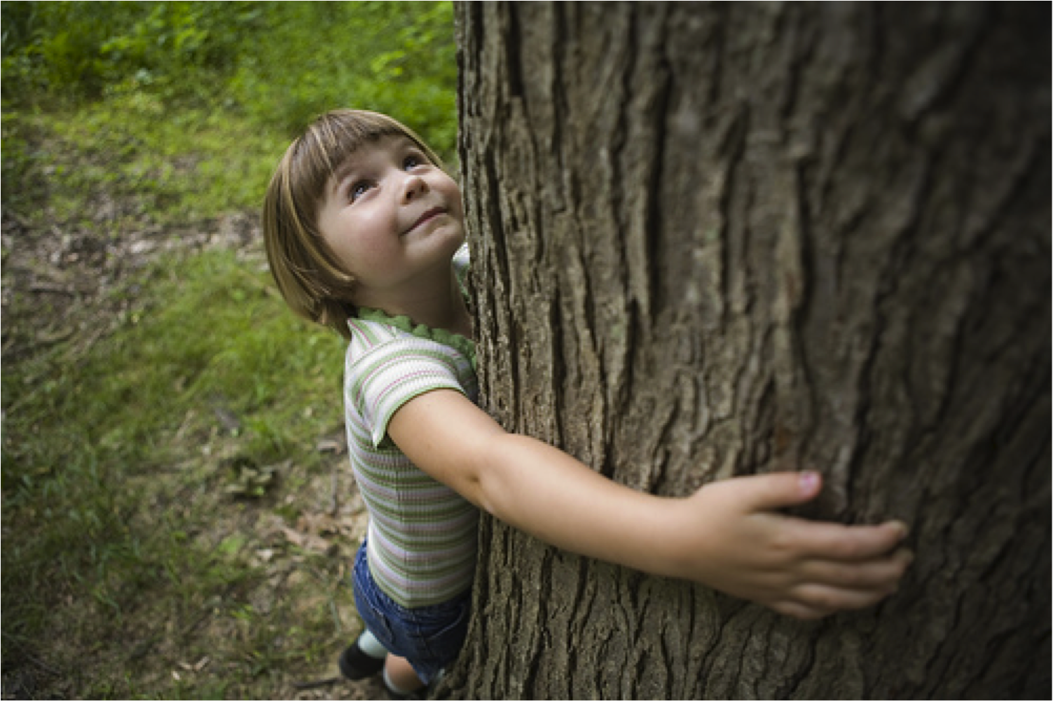 I go to nature. Дерево для детей. Дети и природа. Природа деревьев для детей. Любовь детей к природе.