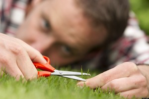 Obsessive man laying on grass, perfection